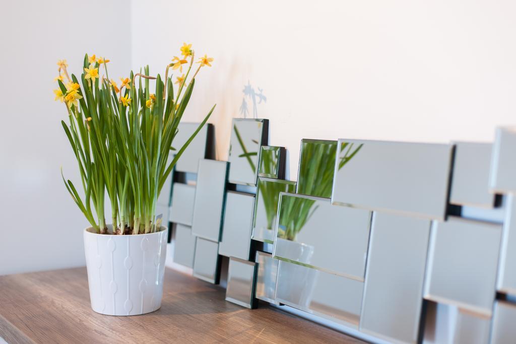 D'Castro Luxury Apartments - Alfama 리스본 외부 사진